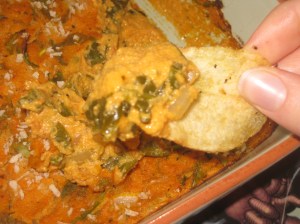 Life Affirming Nacho Dip (9)