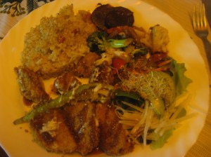 Amsterdam TerraZen (1)