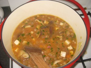 AVK Tofu and Vegetable Soup (4)