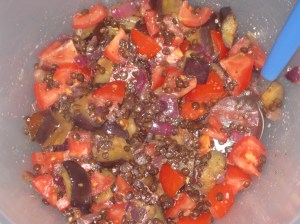 A Vegan Taste of France Aubergine and Lentil Salad (5)