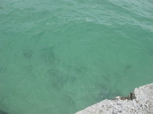 Day Five St Ives (30)