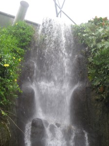 Day Two Eden Project (36)