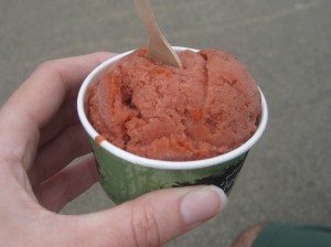 Day Two Eden Project (50)