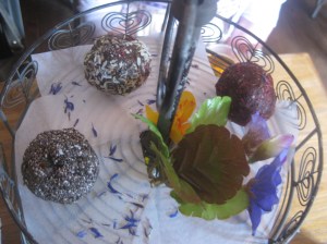 The Garden Afternoon Tea 004