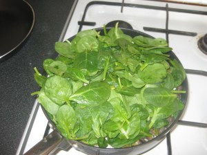 Breakfast Scramble (14)