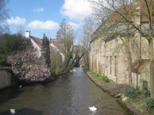 Bruges (3)
