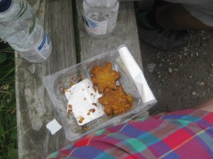 Lake District Day Two 020