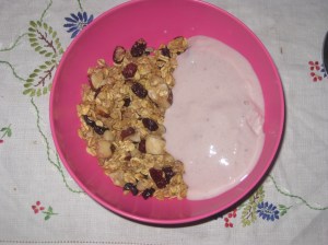 Street Food Brazil Nut Granola 002