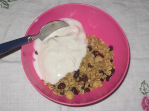 Street Vegan White Chocolate Macadamia Granola (4)