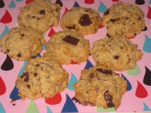 Vegan Bible Chocolate Chip Cookies (2)