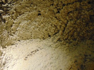 Krakow Day 2 Salt Mine (5)