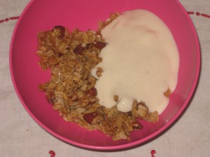 Vegan Soul Kitchen Basic Maple Almond Granola (1)