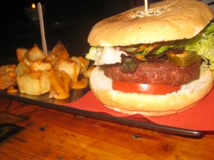 Barcelona Cat Bar (1)