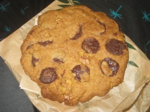 Barcelona El Maderal (7)