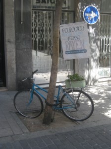 Madrid Rayen Vegano (2)