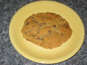 vegan-chocolate-chip-cookies-10