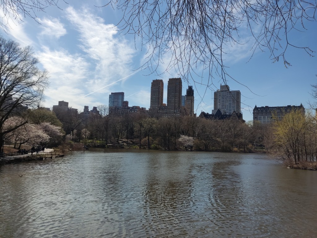 Central Park