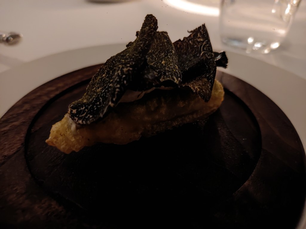 A large chip topped with black truffle shavings