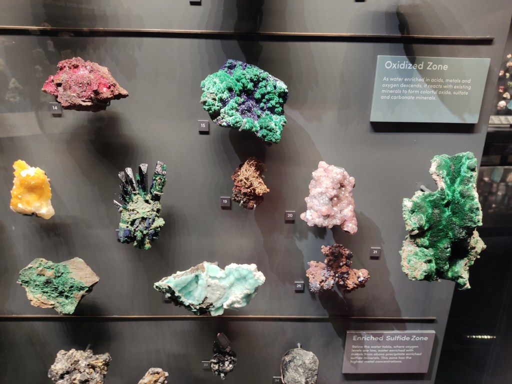 A selection of brightly coloured minerals in a display case in the American Museum of Natural History