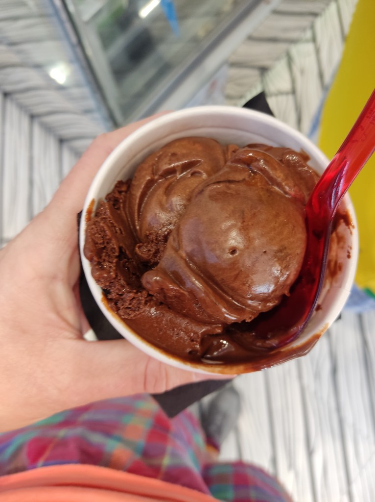 A cup of chocolate ice cream