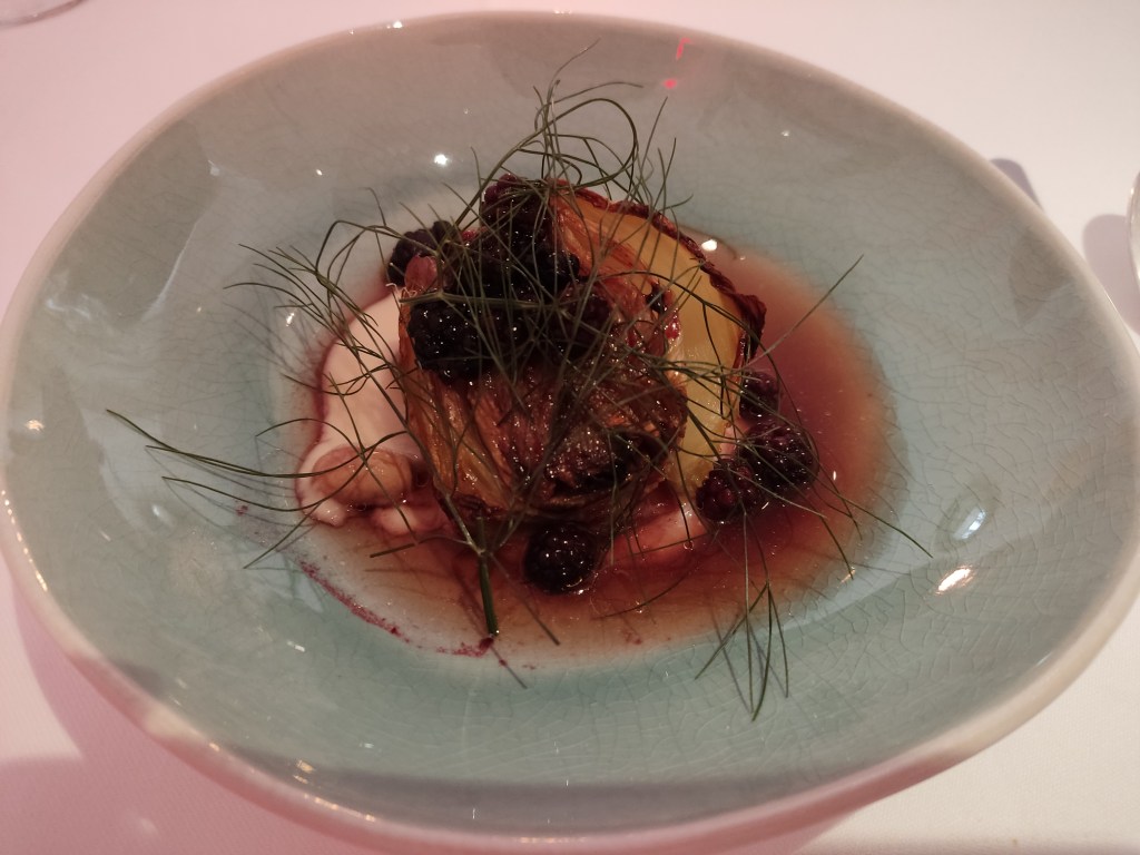 A creamy puree topped with sliced fennel and blackberries and beans sitting in a blackberry tea, It's all covered with long green fronds.