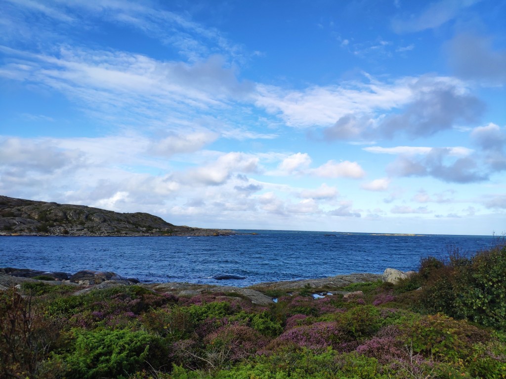 Blue sea and sky from one of the islands of the Southern Archipelago