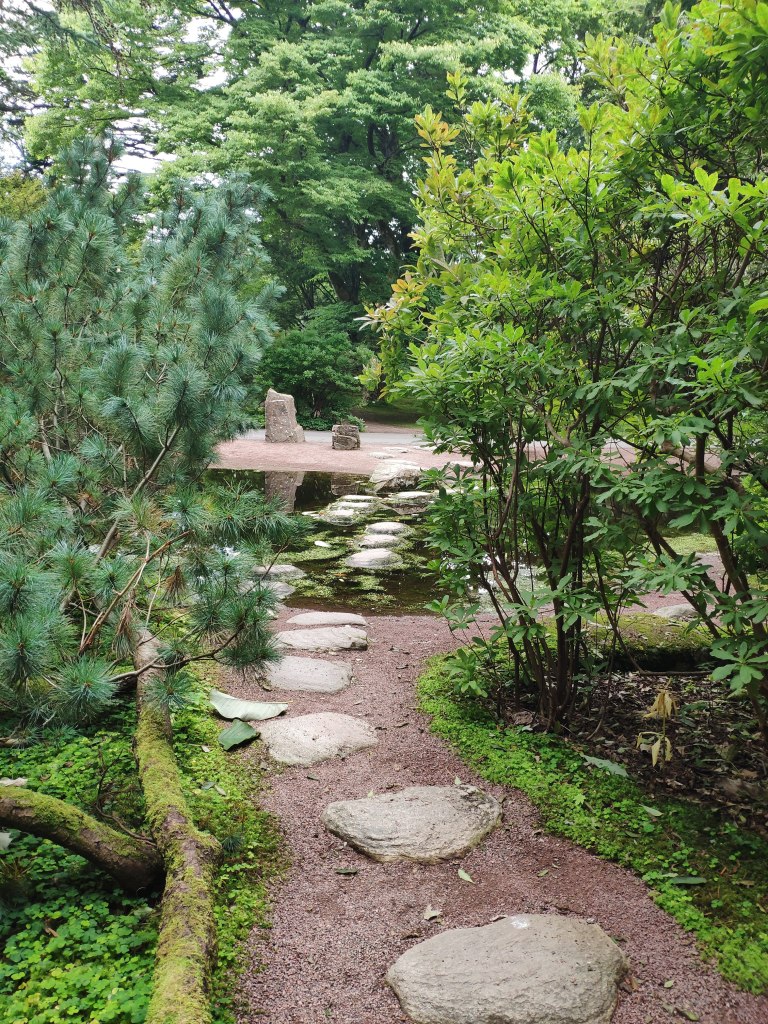 A stepping stone path in the botanical gardens.