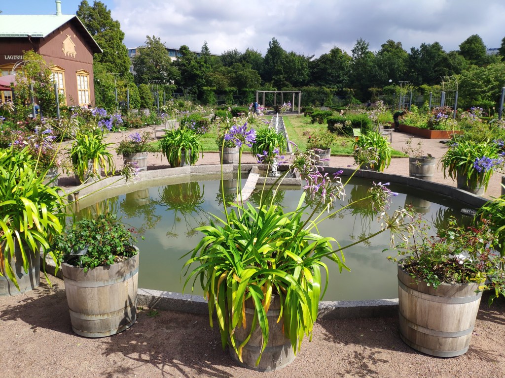 Some plants and a pond at the botanical gardens.