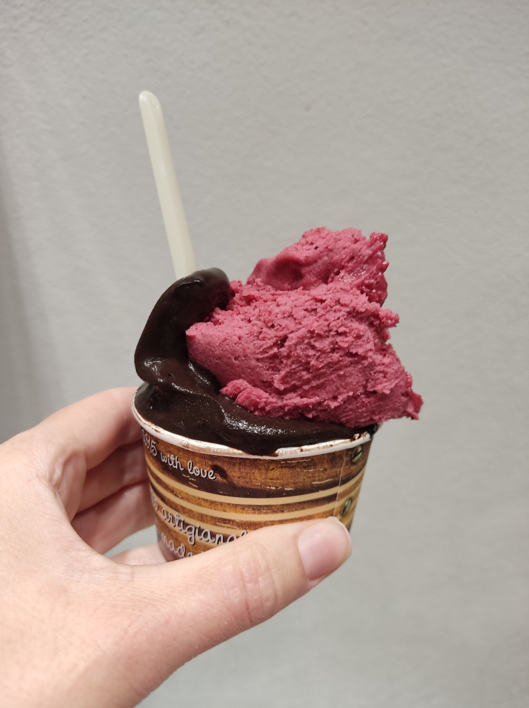 A cup of ice cream with a scoop of rich dark chocolate and a scoop of magenta forest fruits