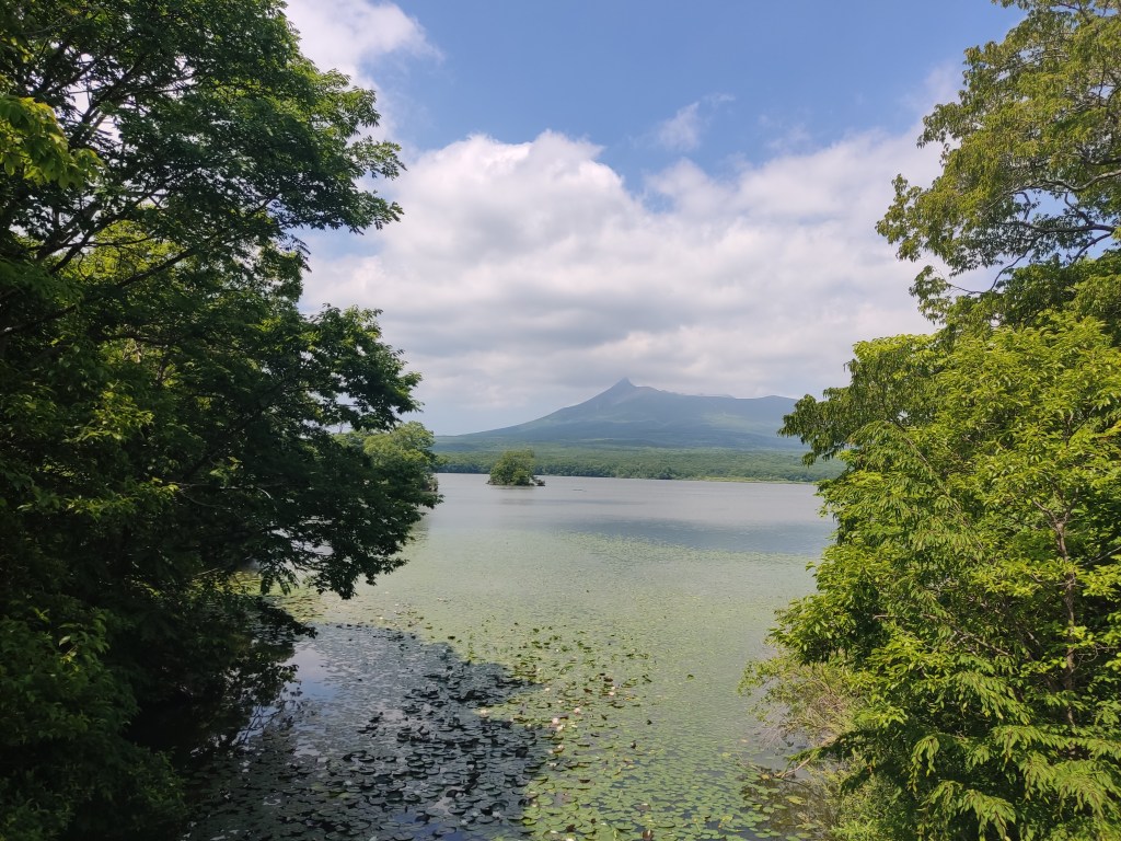 A view framed by leafy foliage on either side, looking out on a lake with water lillies and green hills in the distance.