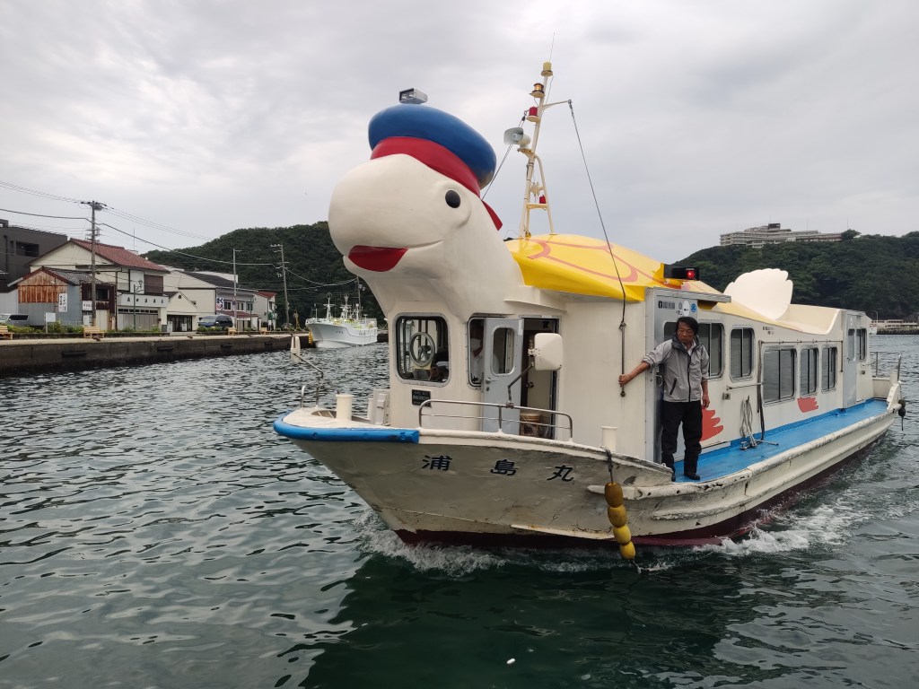 A ferry shaped like a turtle