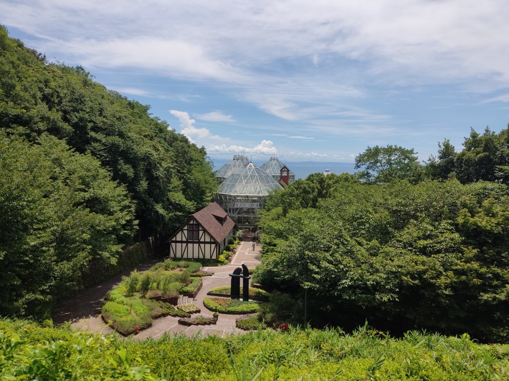 Hothouses surrounded by greenery with the sea in the distance