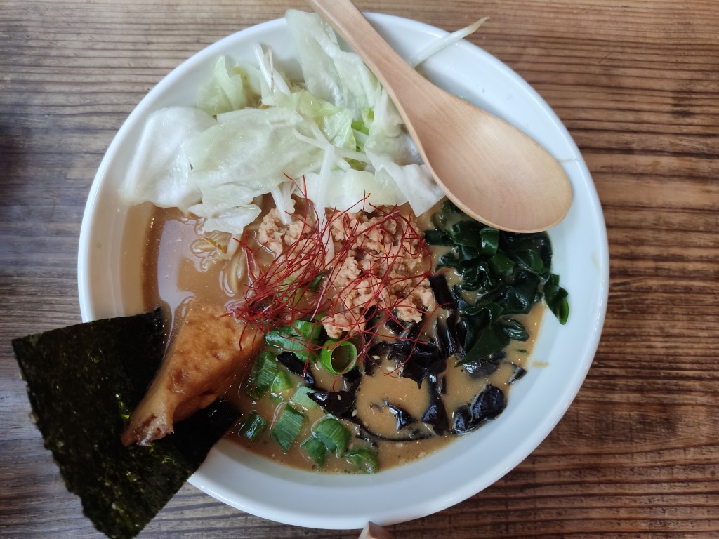 A brown broth topped with different types of seaweed, mince, tofu, spring onion, cabbage, and chilli threads