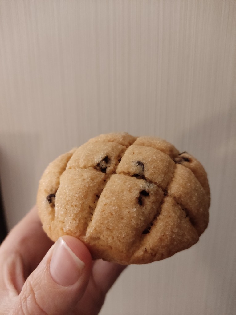 A melonpan with some chocolate flecks in it