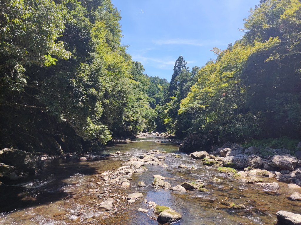 A shallow river with lots of rocks in it, surrounded by greenery on both sides