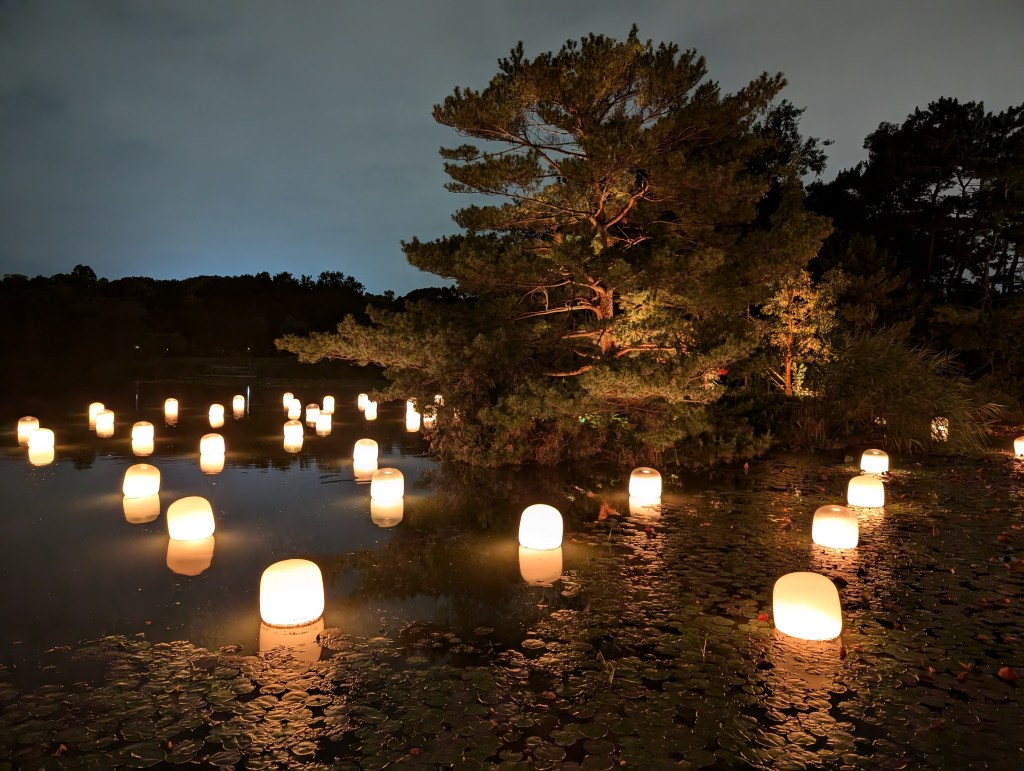 Lanterns floating on a lake at the botanical gardens
