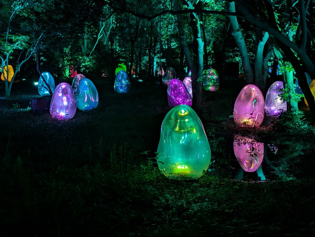 Digital art at the botanical gardens