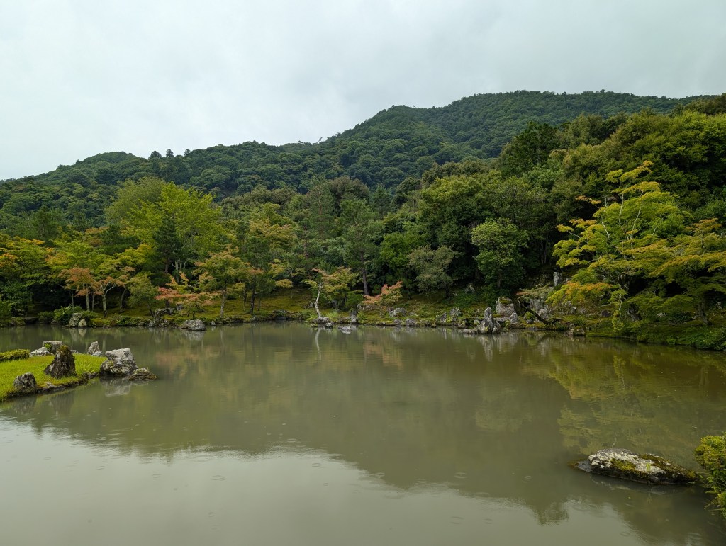 A pond surrounded by green trees