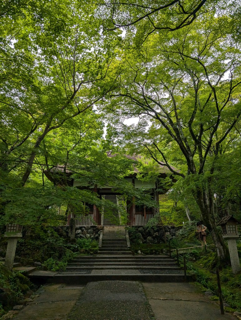 An entry gate to a temple surrounded by trees with a long staircase visible through the gate