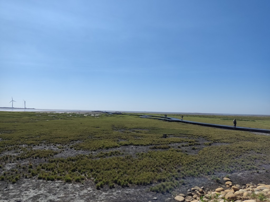 The wetlands with a walkway towards the sea