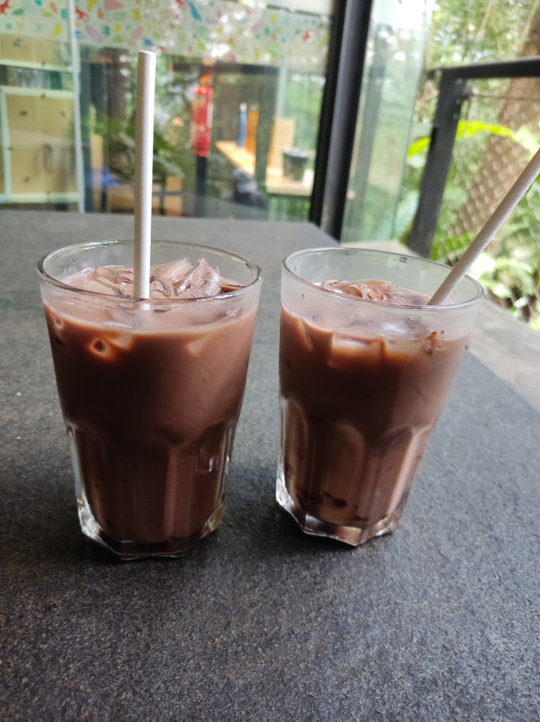 Two glasses of chocolate milk with ice