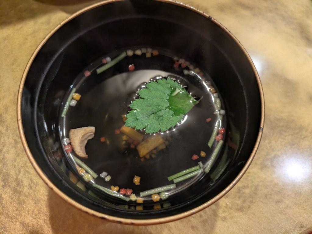 A translucent soup with a few colourful pieces in it