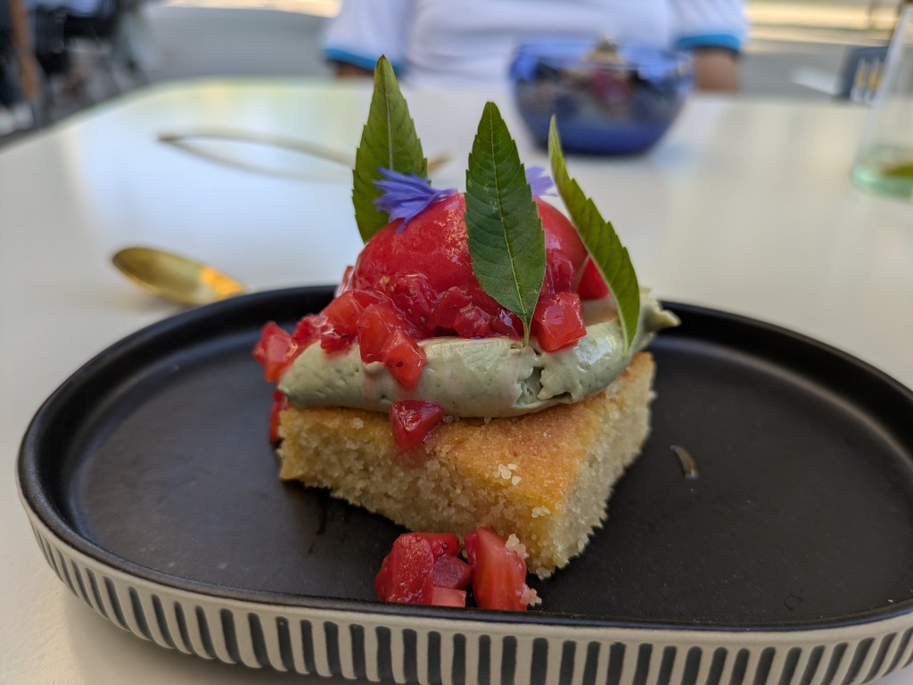 A square of sponge cake topped with green cream and red sorbet