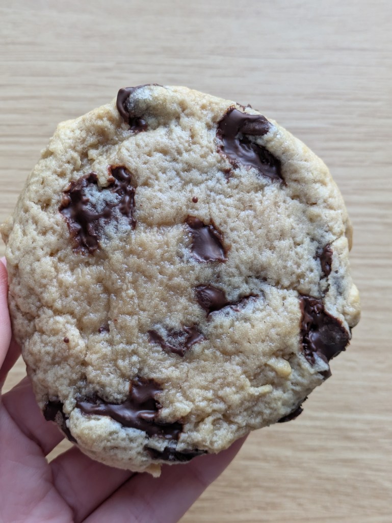A chocolate chip cookie 