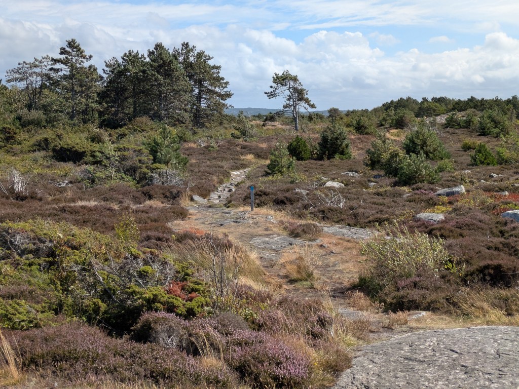 Scenery on the island 