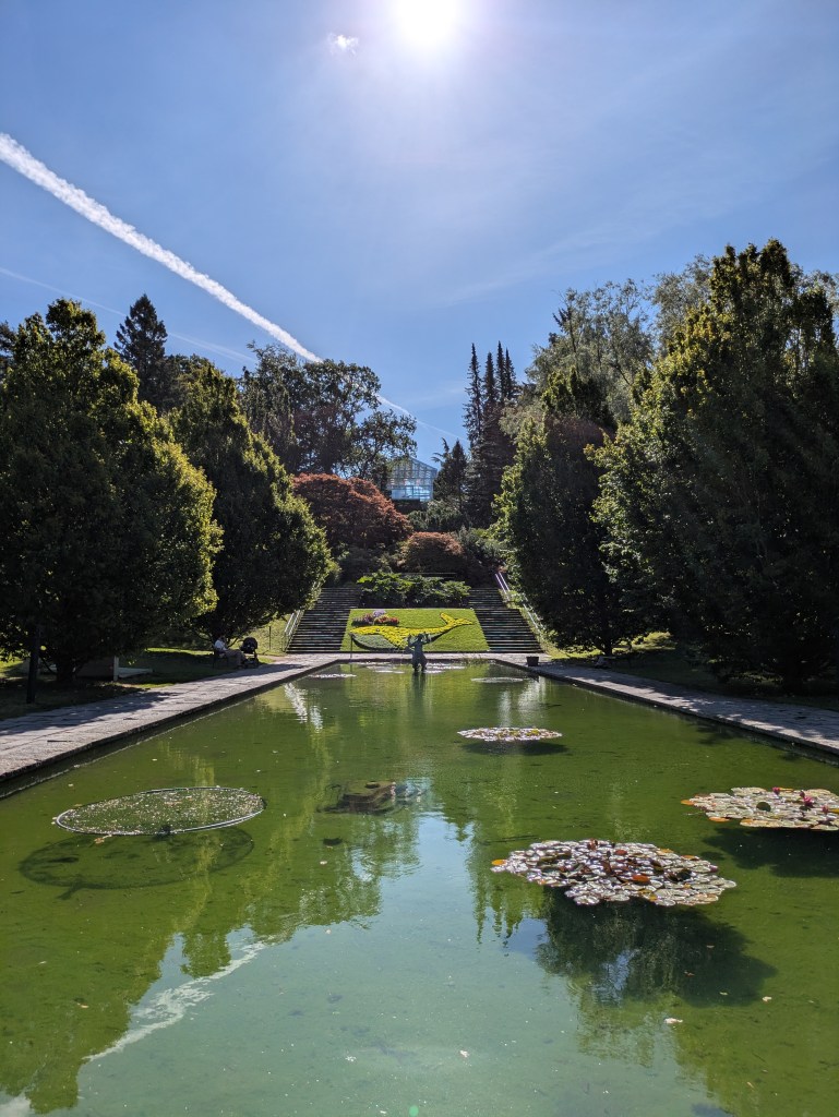 Water feature in the botanical gardens