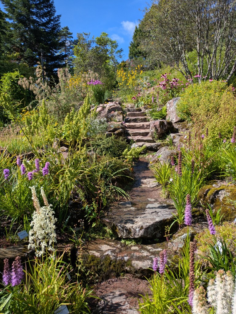 A rocky staircase between the greenery of the botanical gardens 